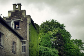 Гостиница Hotel- en Restaurant Kasteel Elsloo  Элслоо